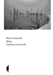 Blizny. Krajobrazy po przemyśle - Marta Tomczok