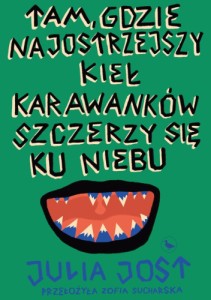 Tam, gdzie najostrzejszy kieł karawanków szczerzy się ku niebu - Julia Jost